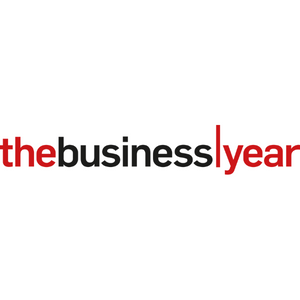 The-business-year