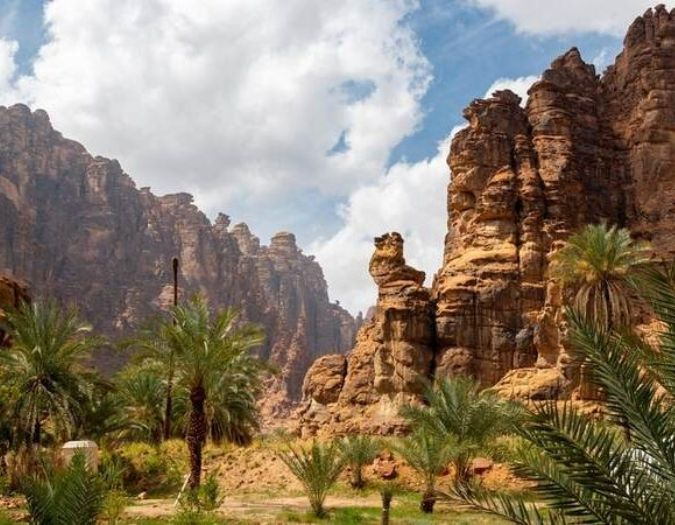mtm25smlc-Wadi Al Disah